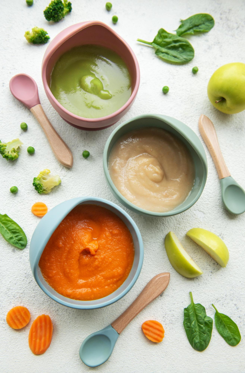 Pilihan Menu Resep MPASI Homemade Sehat dan Lezat