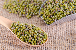 Jangan Bingung, Simak Cara Membuat Tepung Kacang Hijau Untuk MPASI